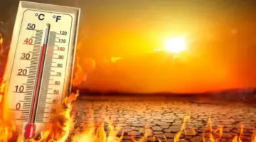 موجة حارة تضرب البلاد.. الأرصاد تحذر من رياح محملة بالأتربة وأمطار رعدية على بعض المناطق